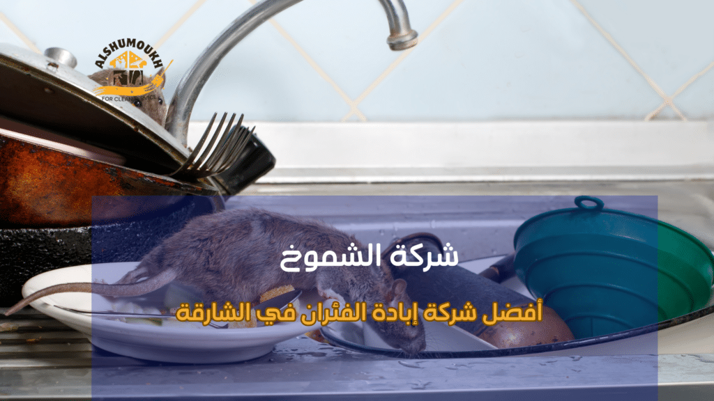 أفضل شركة إبادة الفئران في الشارقة