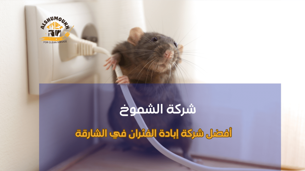 نصائح أفضل شركة إبادة الفئران في الشارقة