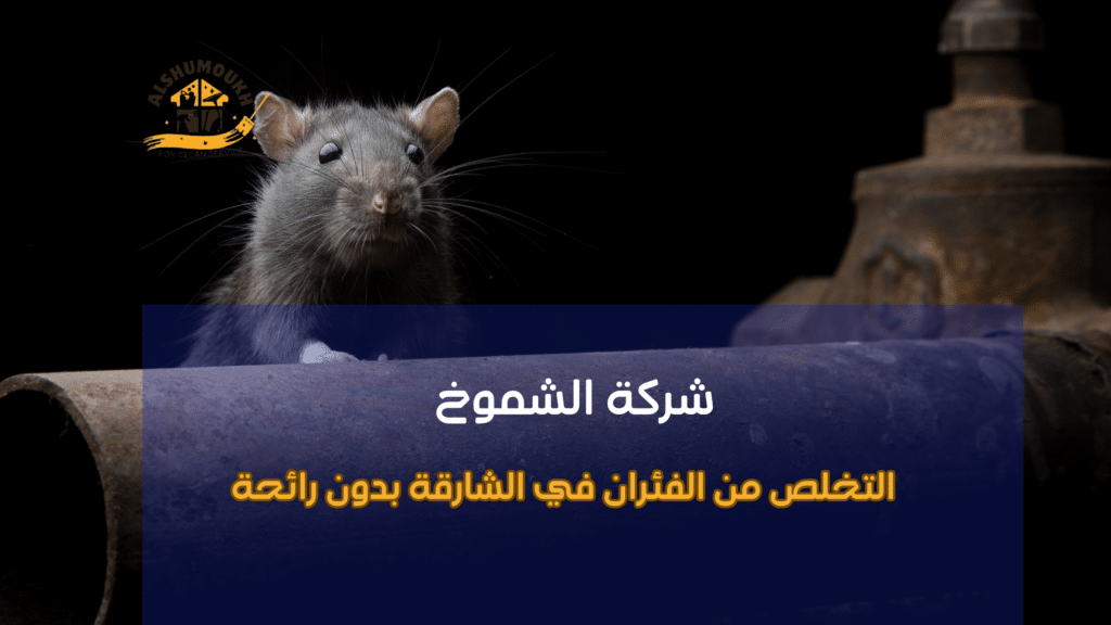 فهم سلوك الفئران في الشارقة بدون رائحة