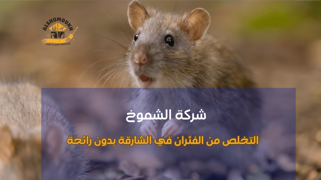 مراقبة دورية لمنع العودة في الشارقة