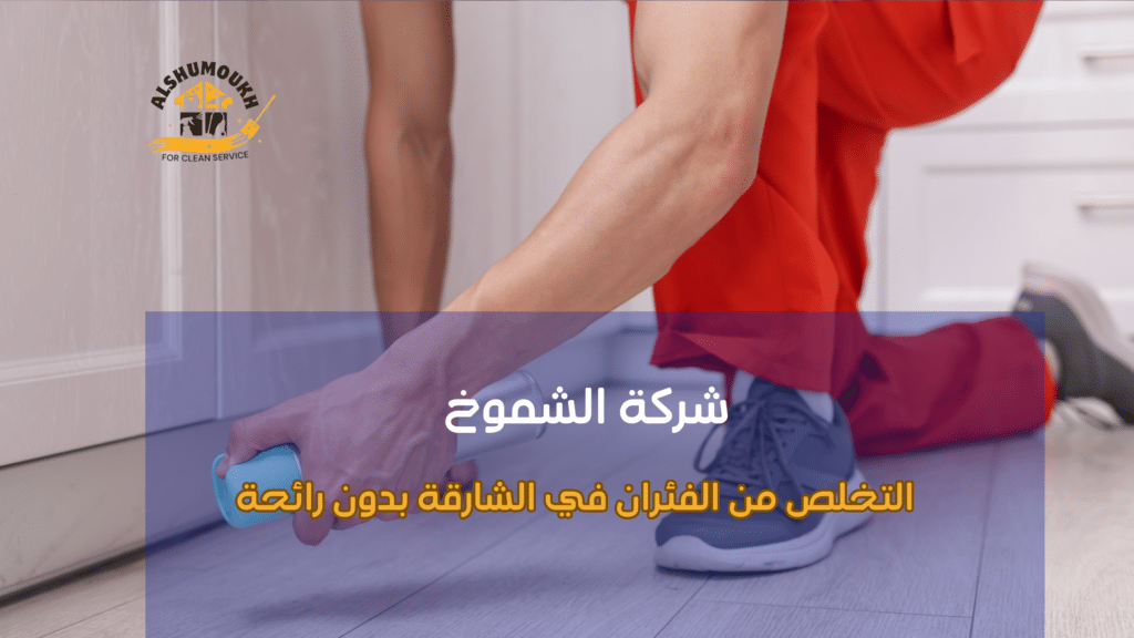 الاستعانة بخبراء مكافحة الفئران
