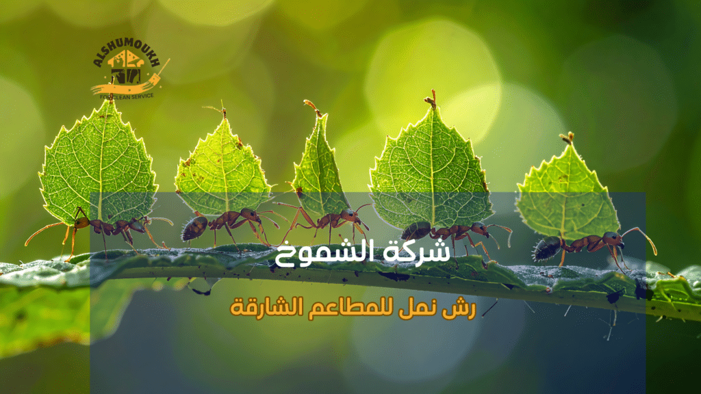 رش نمل للمطاعم الشارقة