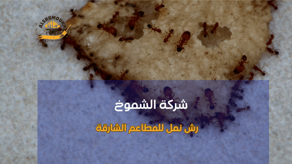 لماذا يحتاج المستخدم لحل احترافي وليس حلًا مؤقتًا