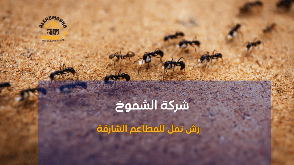 الأخطاء الشائعة التي يقع فيها أصحاب المطاعم أثناء رش النمل