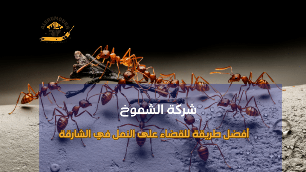 الأخطاء الشائعة التي يقع فيها المستخدمون