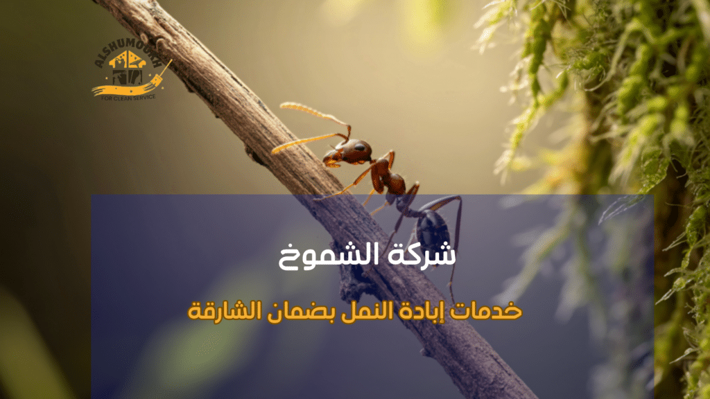فهم سلوك النمل وأهمية مكافحته في الشارقة