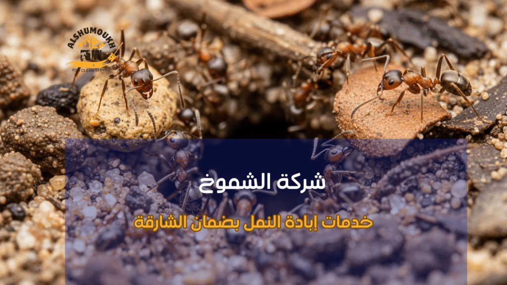 أنواع النمل وأهميتها في اختيار طريقة المكافحة