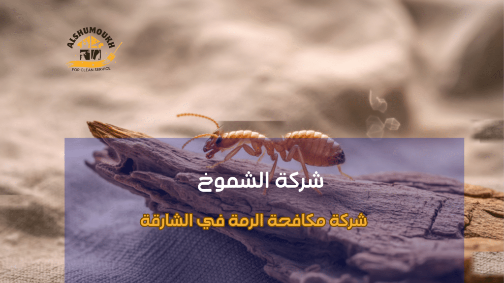 نصائح عملية قبل وبعد تنفيذ مكافحة الرمة