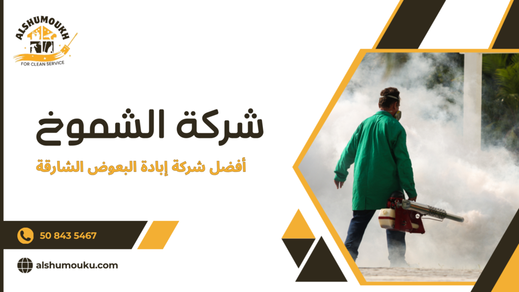 لماذا الاستعانة بمختص أو جهة محترفة أفضل من الحلول الفردية