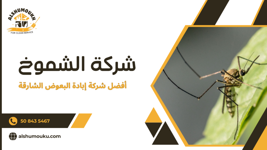 تحليل واقعي لمشكلة البعوض في الشارقة ولماذا تتكرر الإصابة