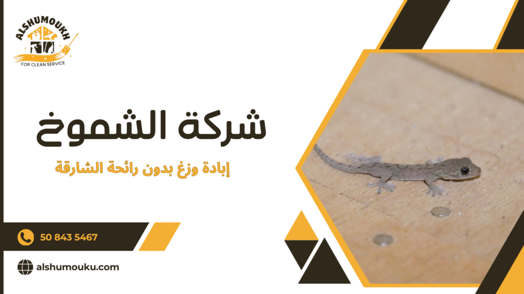 لماذا الاستعانة بمختص أو جهة محترفة أفضل