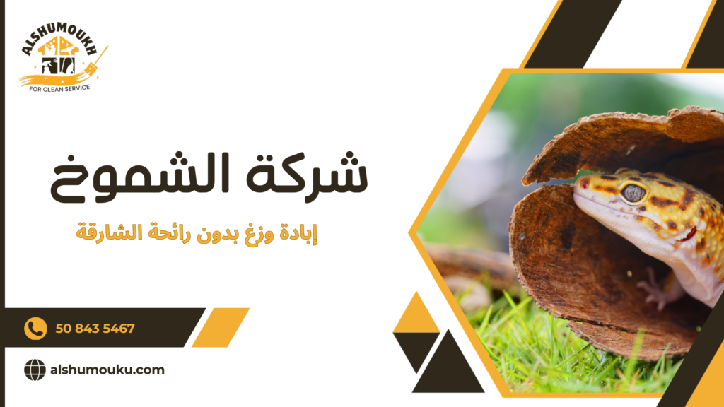 العوامل المؤثرة على الجودة أو السعر أو النتيجة