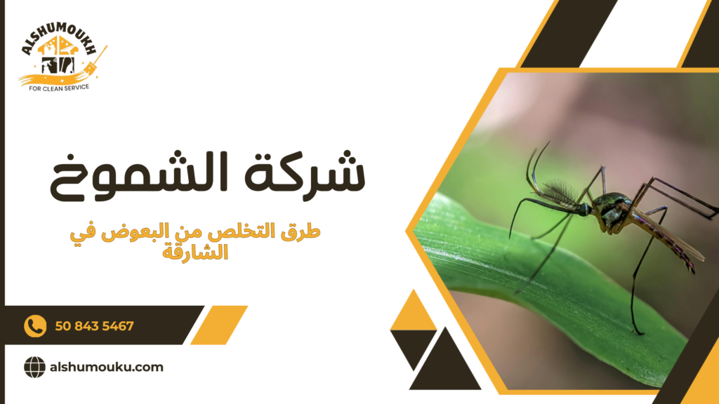 طرق التخلص من البعوض في الشارقة بفعالية
