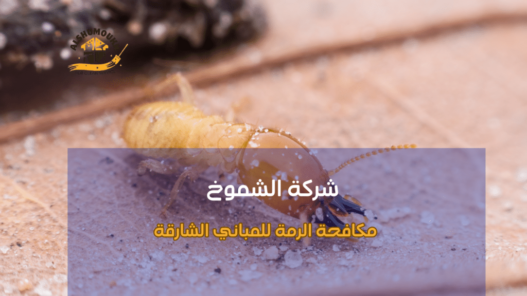 الدليل الشامل لمكافحة حشرات الرمة