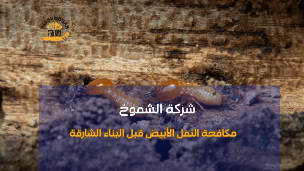 مكافحة النمل الأبيض قبل البناء الشارقة