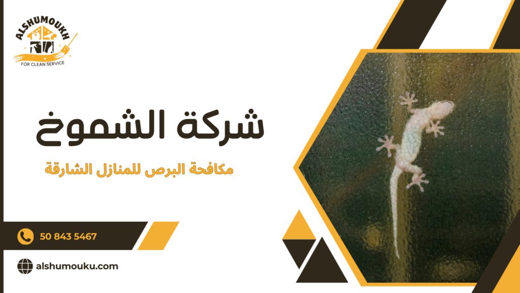 هل ظهور البرص في منزلك حالة عابرة أم مؤشر لخلل يجب التعامل معه بجدية