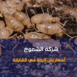 أسعار رش الرمة في الشارقة