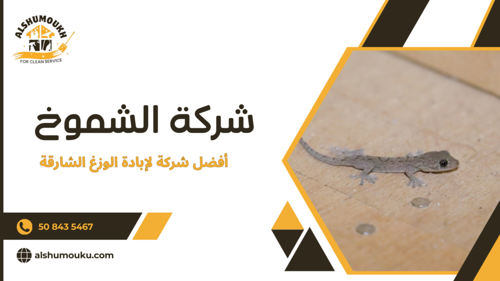 أفضل شركة لإبادة الوزغ الشارقة