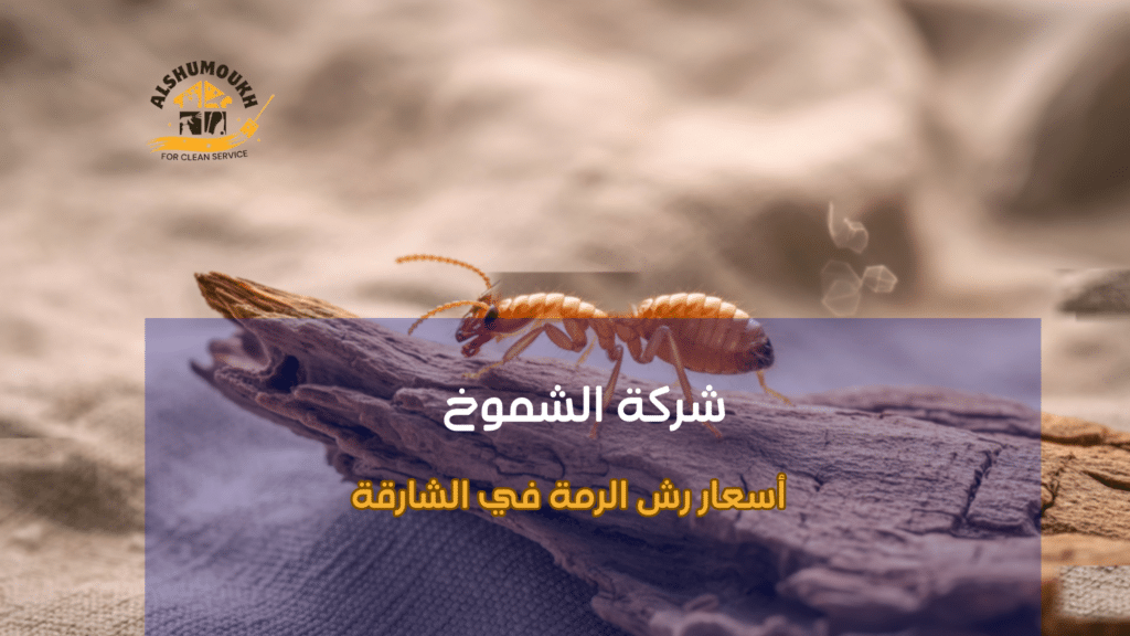 نصائح عملية قبل وبعد تنفيذ رش الرمة