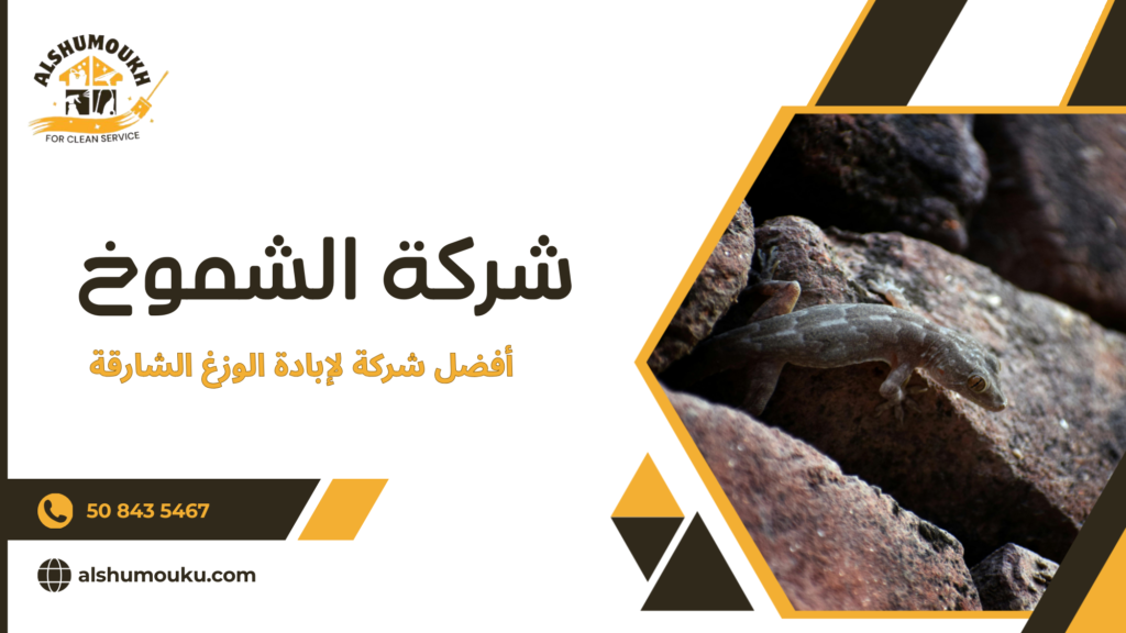 هل تبحث عن اختفاء مؤقت أم عن إنهاء المشكلة بطريقة منهجية مستقرة