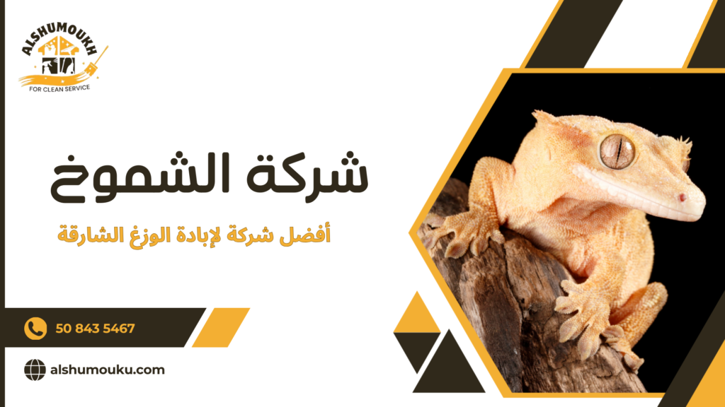 متى يصبح التدخل الاحترافي ضرورة وليس خيارا إضافيا