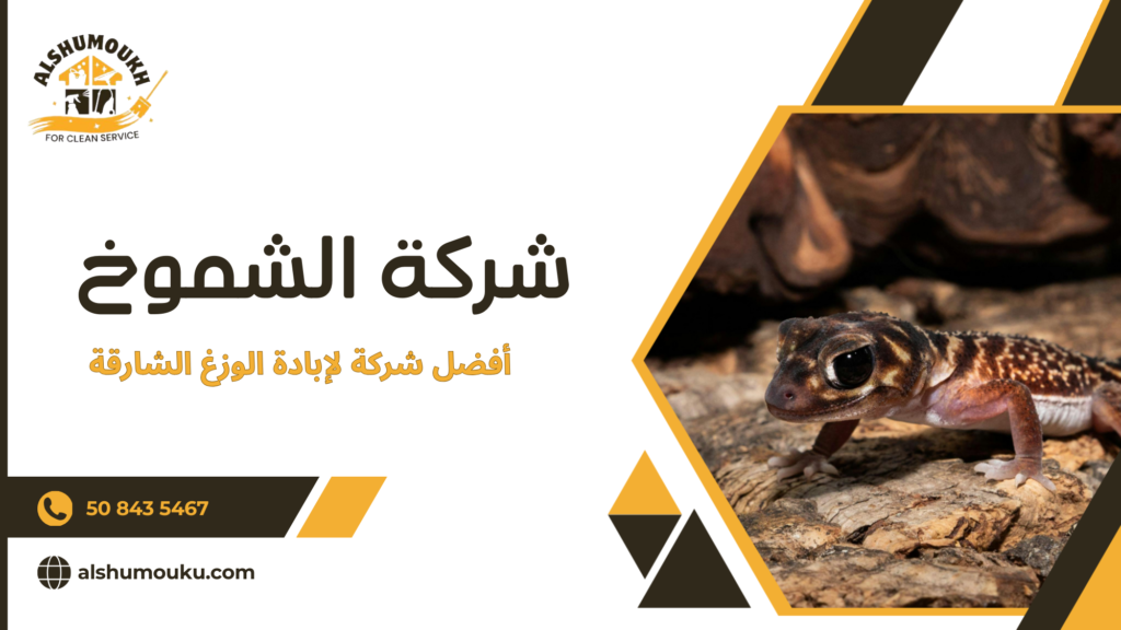 أخطاء شائعة تؤدي إلى عودة المشكلة بعد الإبادة