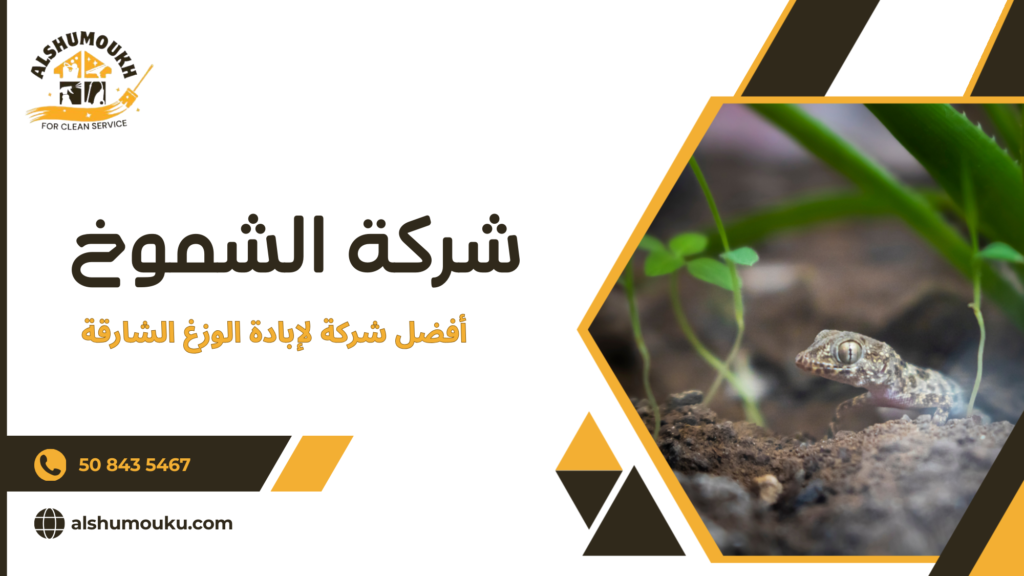 نصائح عملية قبل وبعد تنفيذ الإبادة لضمان أفضل نتيجة