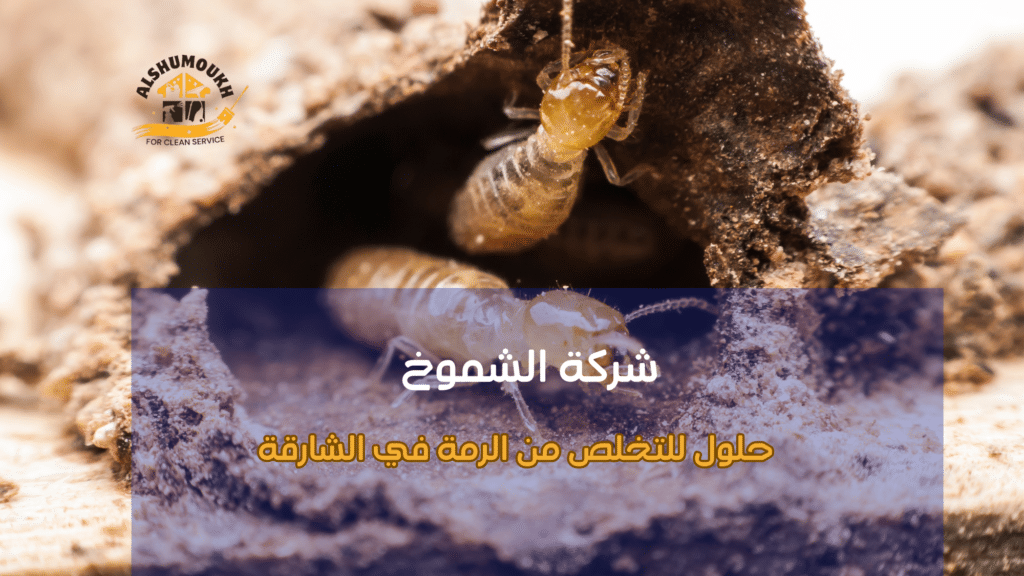 نصائح عملية قبل التنفيذ