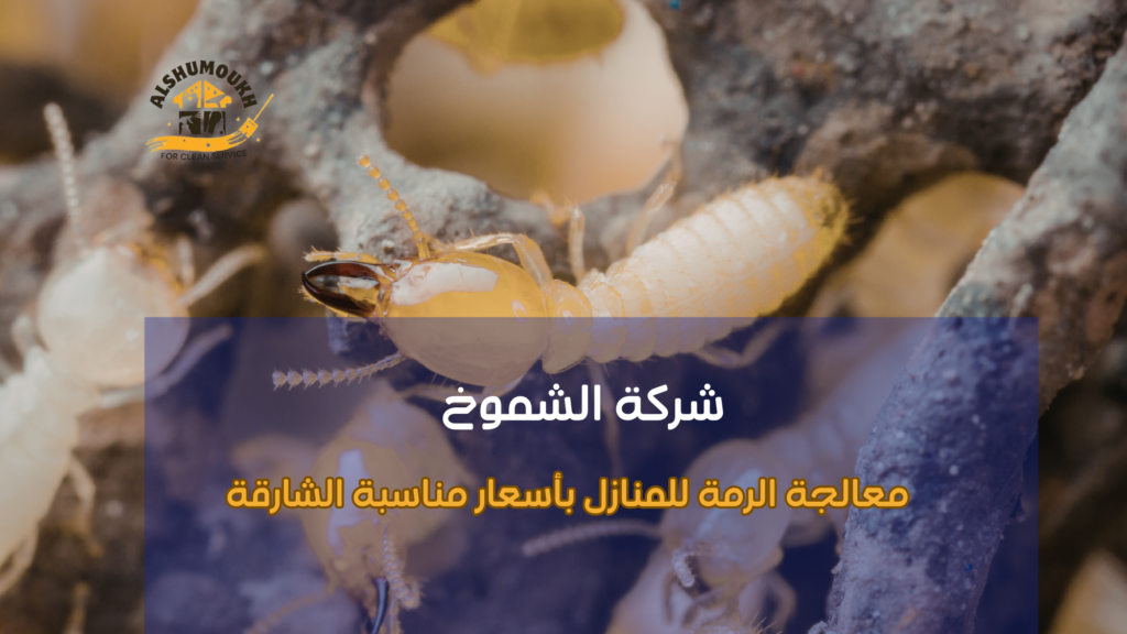 سيناريوهات حقيقية يبحث عنها سكان الشارقة