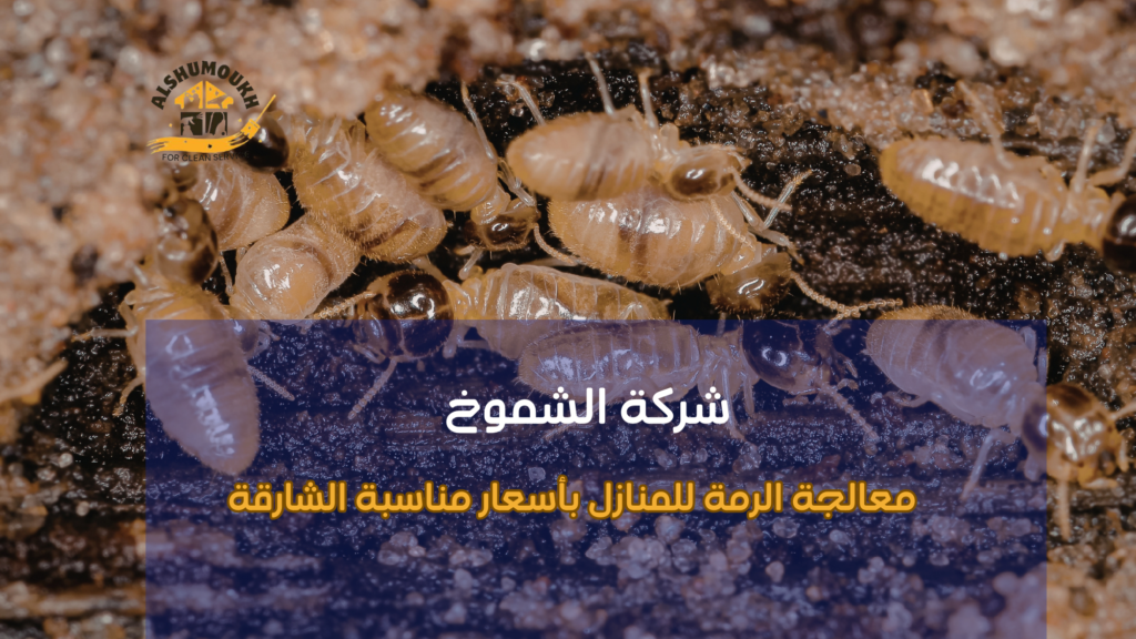 أخطاء شائعة تزيد المشكلة سوءا