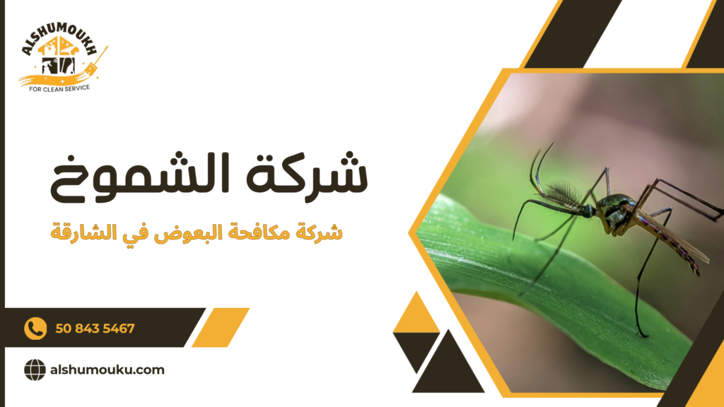 أخطاء شائعة تؤدي إلى فشل مكافحة البعوض رغم تنفيذ الخدمة