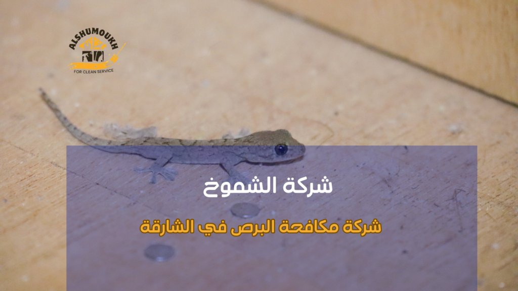 شركة مكافحة البرص في الشارقة