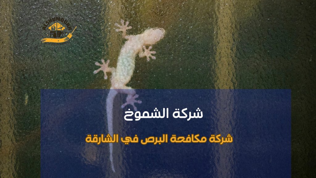 هل ظهور البرص في منزلك مؤشر عابر أم مشكلة تستدعي تدخلا فوريا