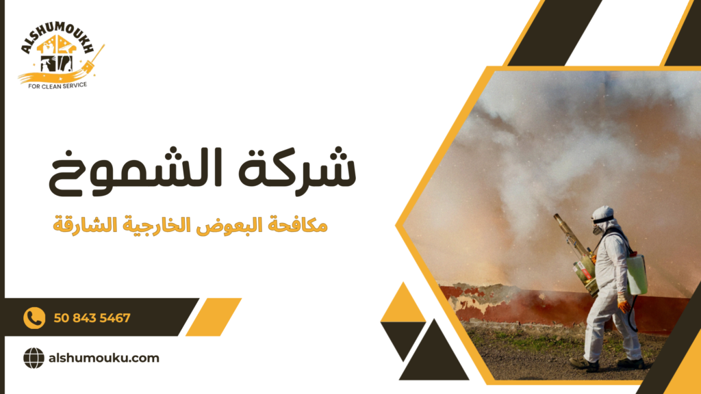 لماذا لا تكفي الحلول المنزلية في مكافحة البعوض الخارجي