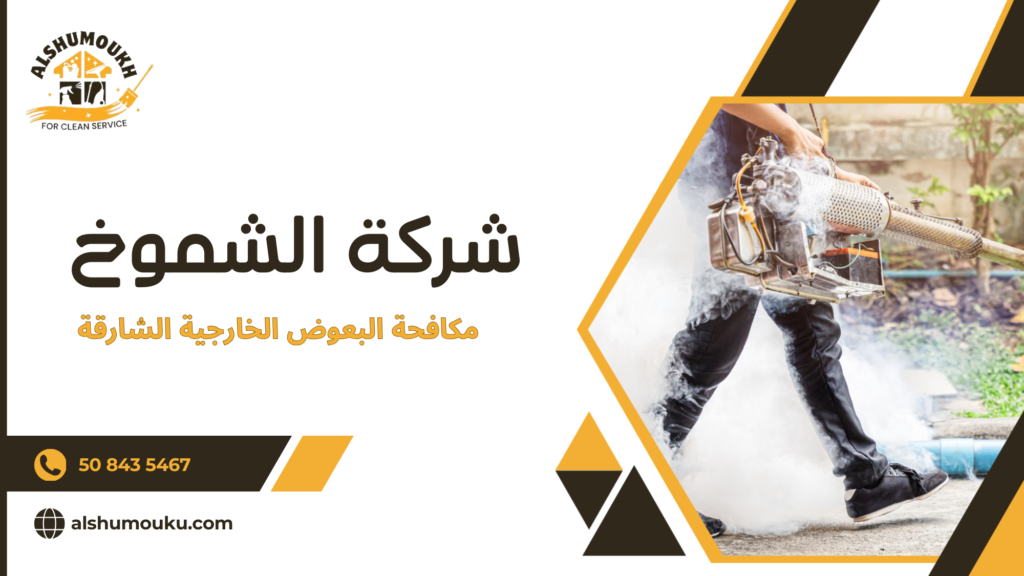 ما العوامل التي تؤثر على جودة النتيجة والتكلفة