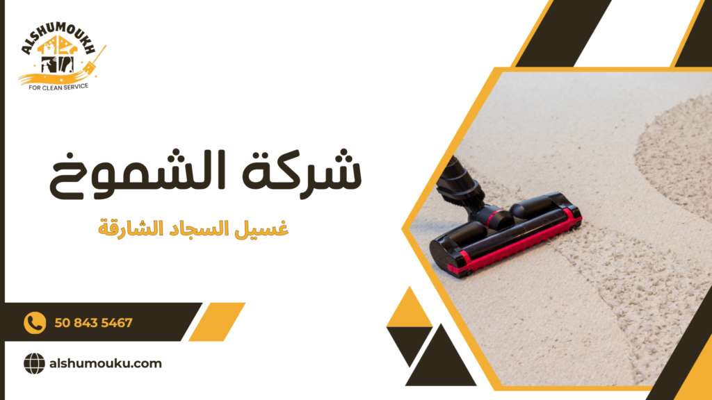 لماذا يحتاج المستخدم إلى حل احترافي