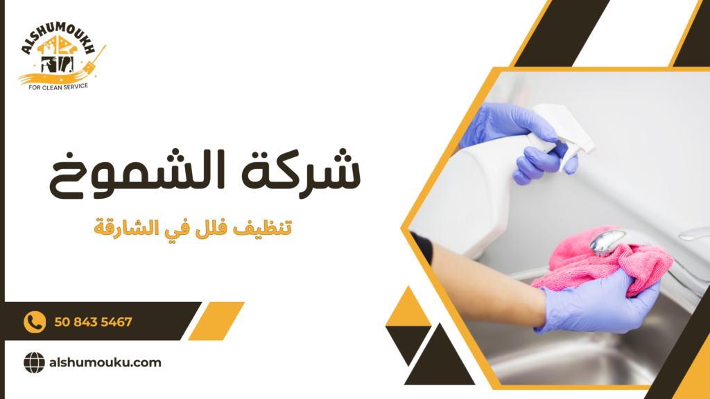 الأخطاء الشائعة عند تنظيف الفلل