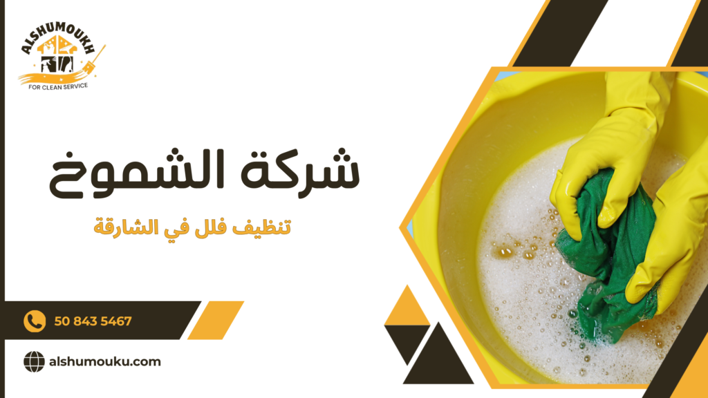 العوامل المؤثرة على جودة وتنفيذ خدمة تنظيف الفلل