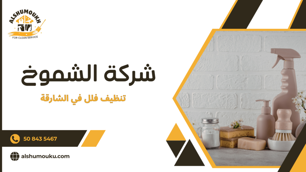 أهمية تنظيف الفلل في الشارقة والحاجة إليه