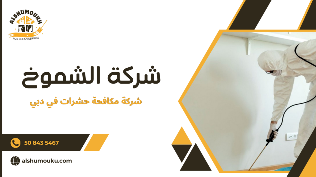 لماذا يحتاج المستخدم إلى شركة مكافحة حشرات في دبي