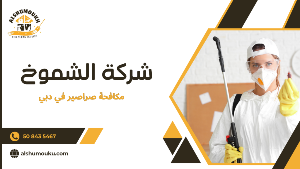 كيف تساعدك خدمات مكافحة صراصير في دبي على بيئة منزلية آمنة