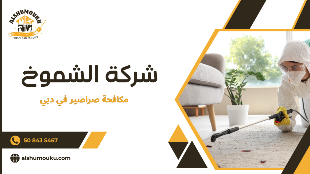 لماذا الاستعانة بشركة محترفة أفضل