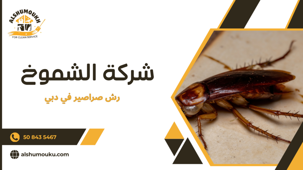 سيناريوهات استخدام حقيقية