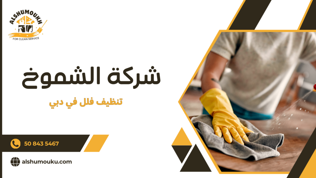 العوامل المؤثرة على جودة وسعر تنظيف الفلل