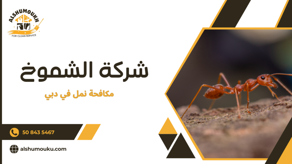 مكافحة نمل في دبي