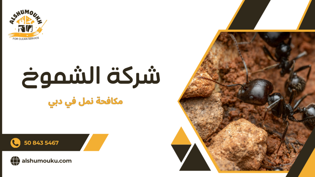 لماذا الاستعانة بمختص أفضل