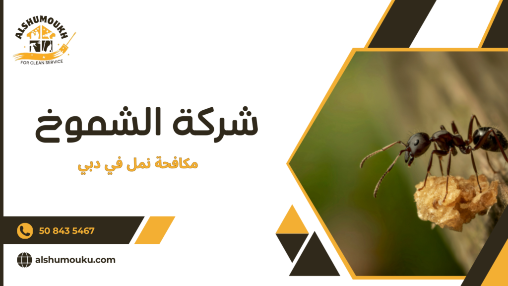 العوامل المؤثرة على جودة وسعر مكافحة النمل