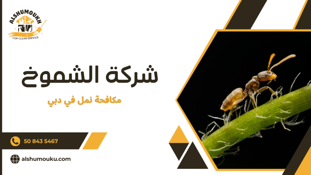 سيناريوهات استخدام حقيقية لمكافحة النمل