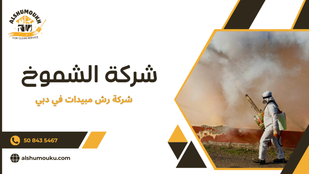 نصائح عملية لاختيار أفضل شركة